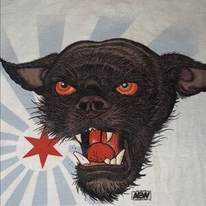 ⭐️ 🤼‍♂️ ⭐️ • 🔴 AEW x CM x Larry Vibes ⭐️ 🤼‍♂️ ⭐️ • 🔴